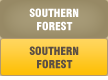 SOUTHERN FOREST