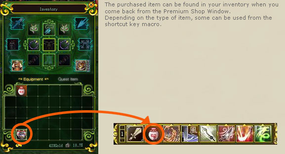 The purchased item can be found in your inventory when you come back from the Premium Shop Window. Depending on the type of item, some can be used from the shortcut key macro.