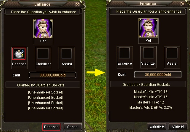 Guardian Socket Enhancement